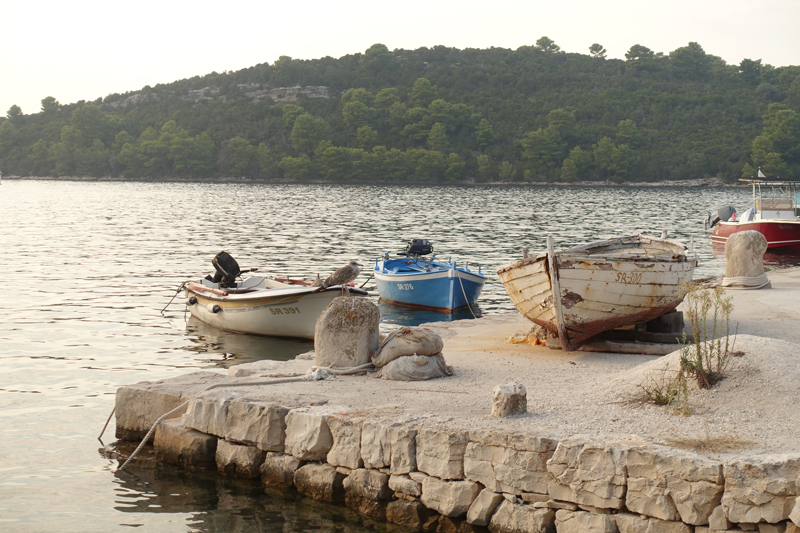 Mon voyage à Pomena sur l’île de Mljet en Croatie