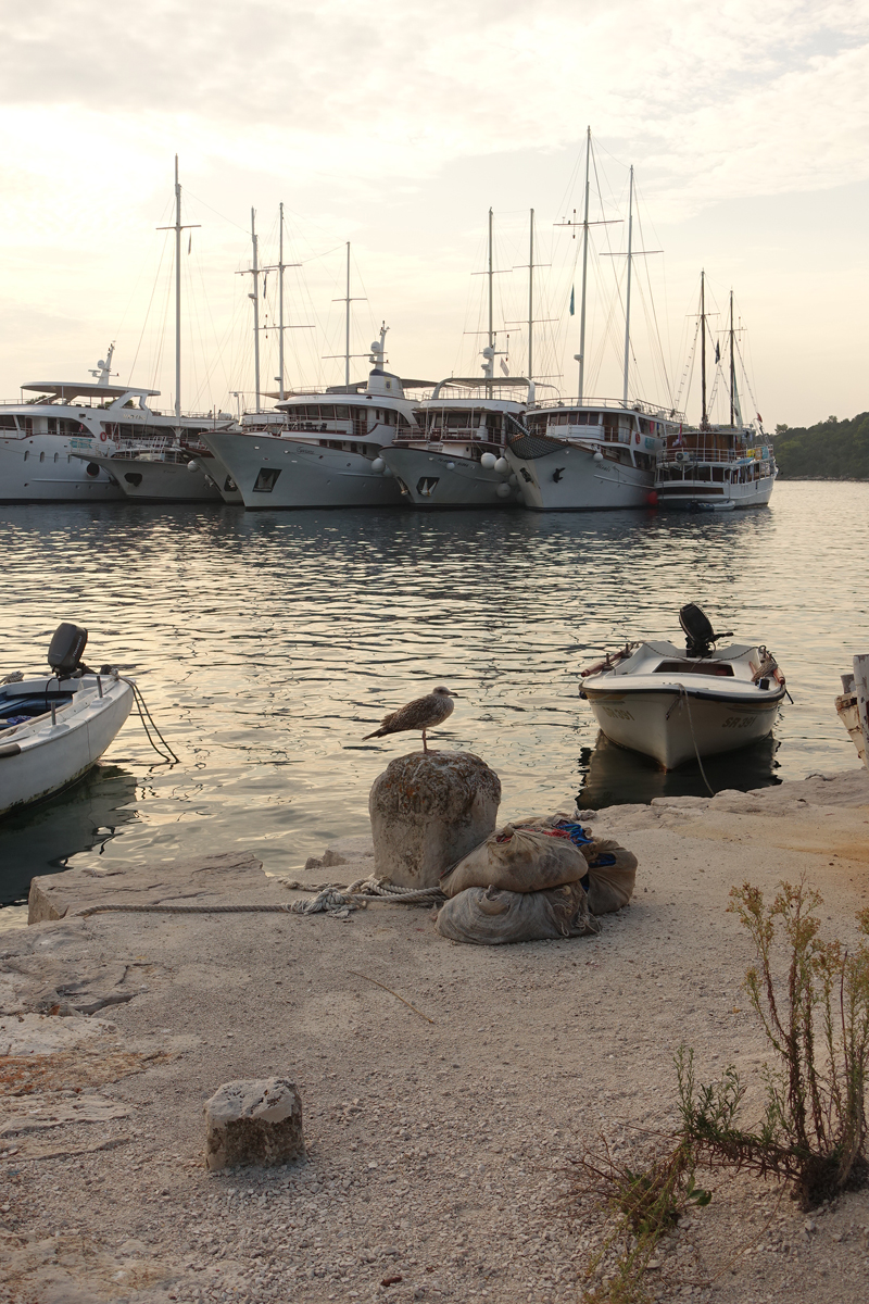 Mon voyage à Pomena sur l’île de Mljet en Croatie