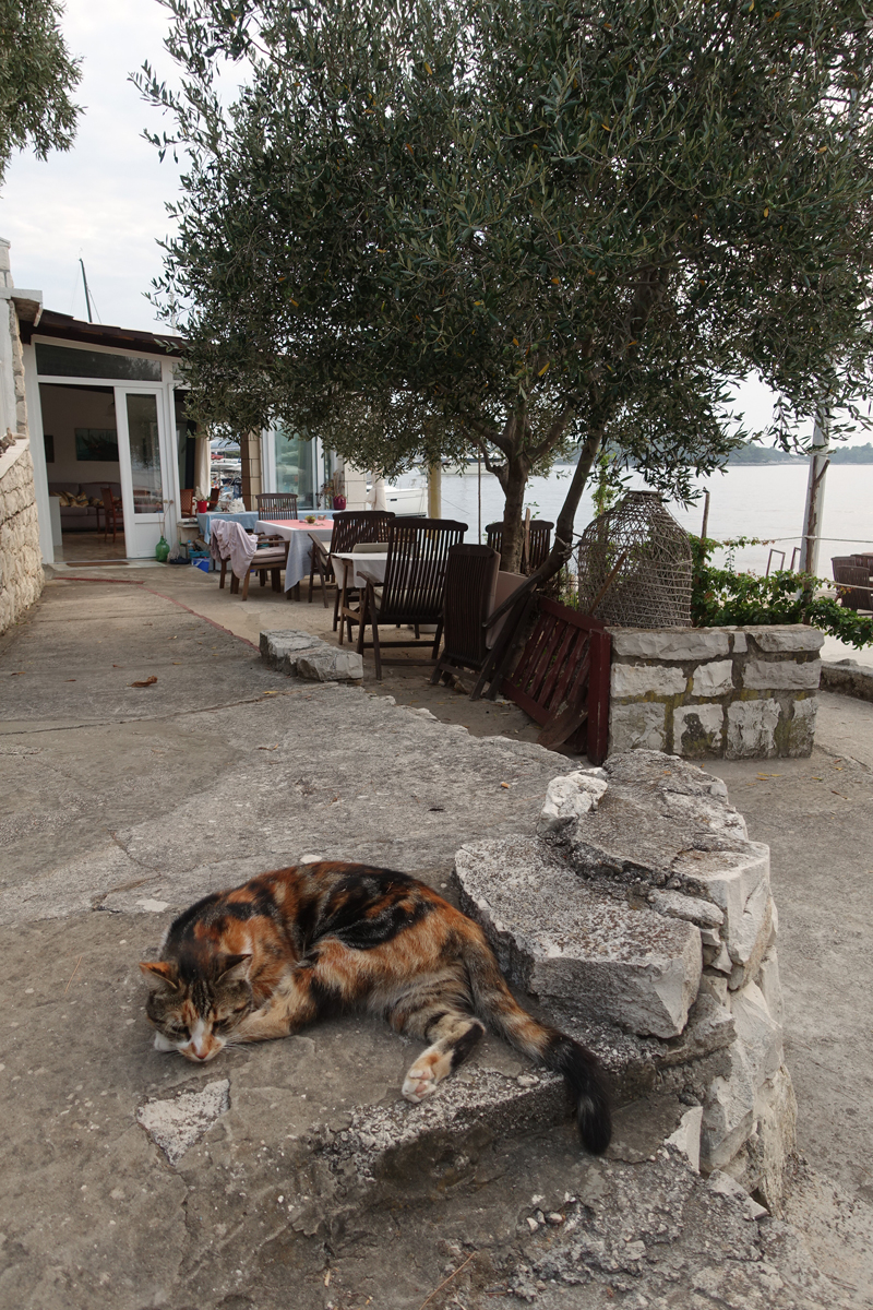 Mon voyage à Pomena sur l’île de Mljet en Croatie