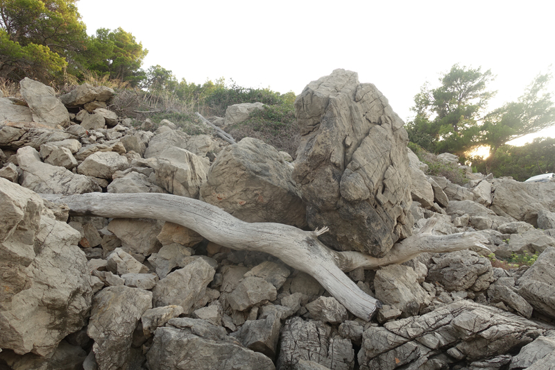 Mon voyage à Pomena sur l’île de Mljet en Croatie