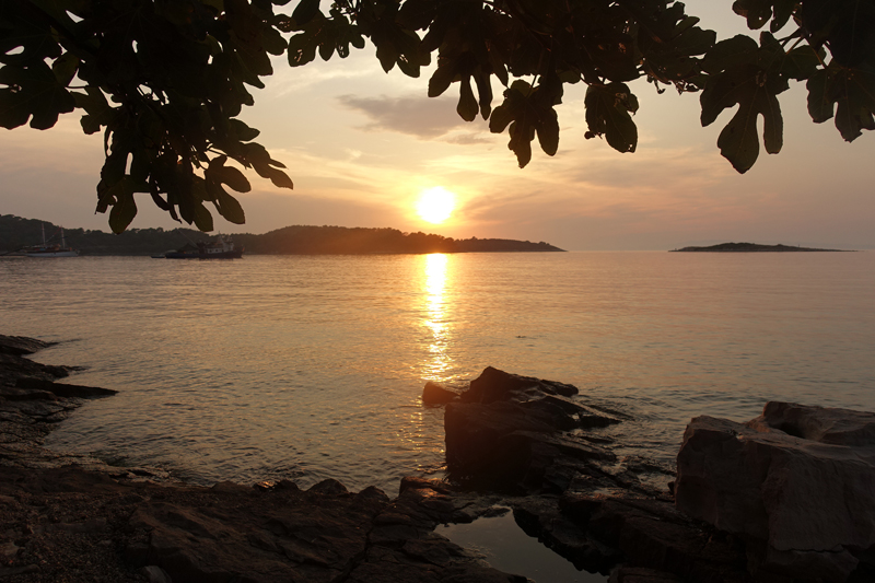 Mon voyage à Pomena sur l’île de Mljet en Croatie