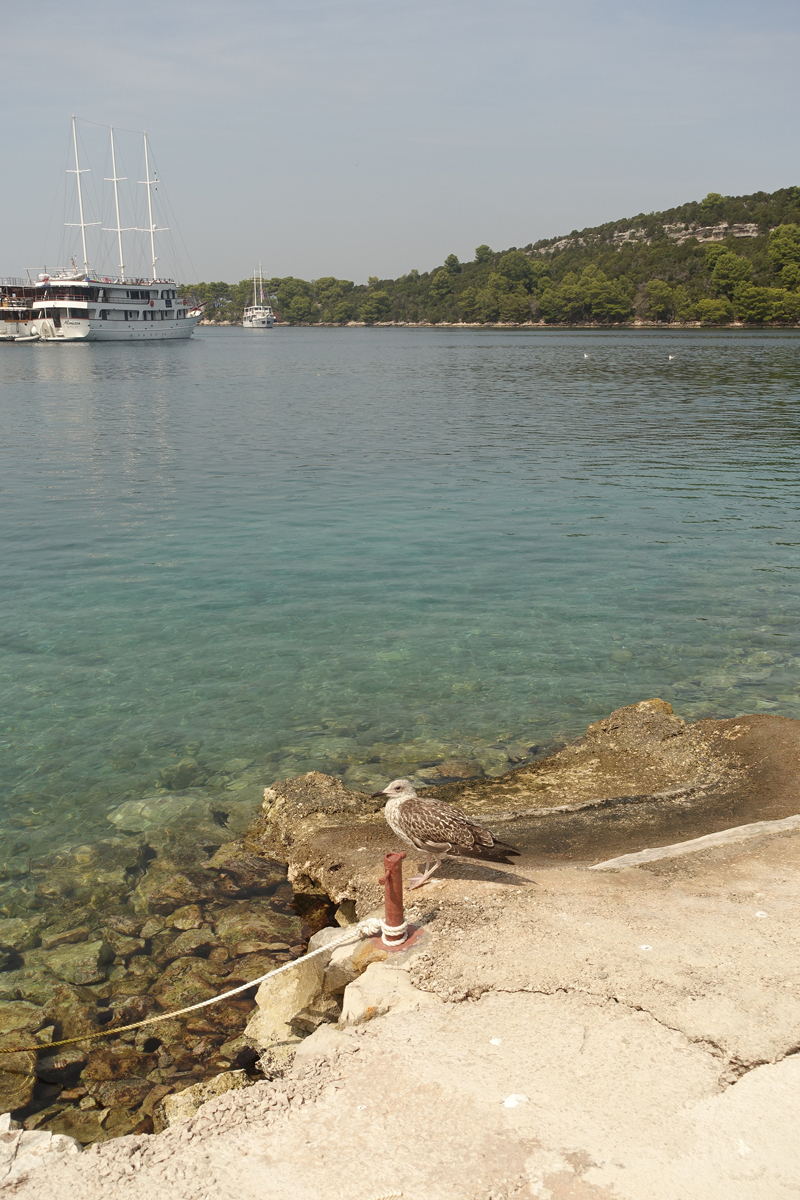 Mon voyage à Pomena sur l’île de Mljet en Croatie