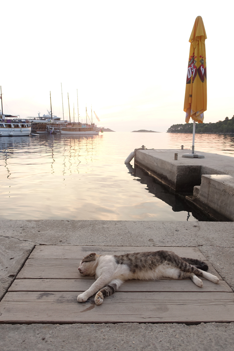 Mon voyage à Pomena sur l’île de Mljet en Croatie