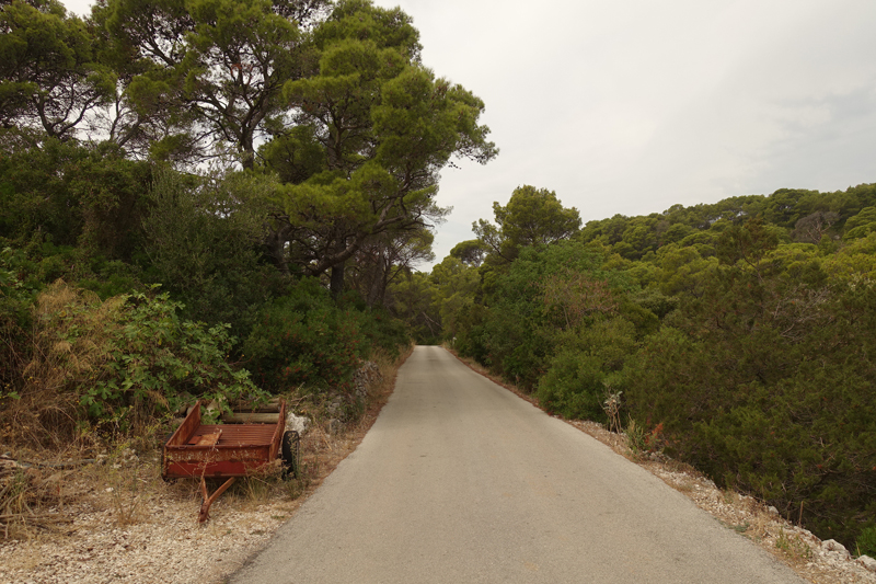 Mon voyage à Govedari sur l’île de Mljet en Croatie