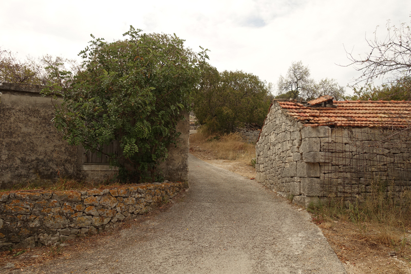 Mon voyage à Govedari sur l’île de Mljet en Croatie