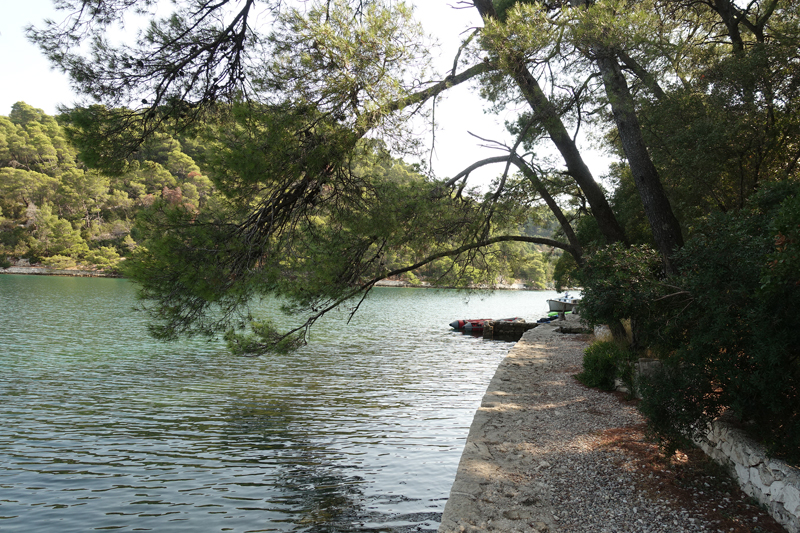 Mon voyage au Parc Naturel de l’île de Mljet en Croatie