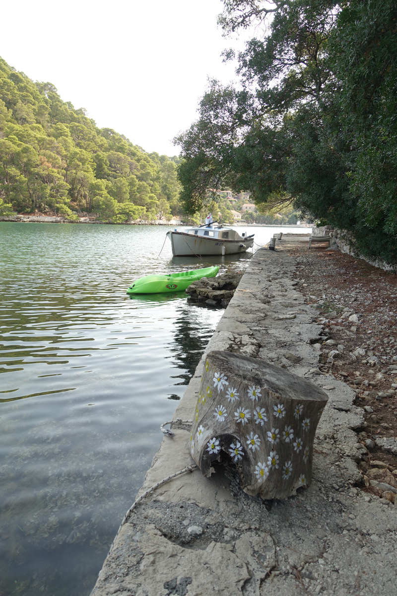 Mon voyage au Parc Naturel de l’île de Mljet en Croatie