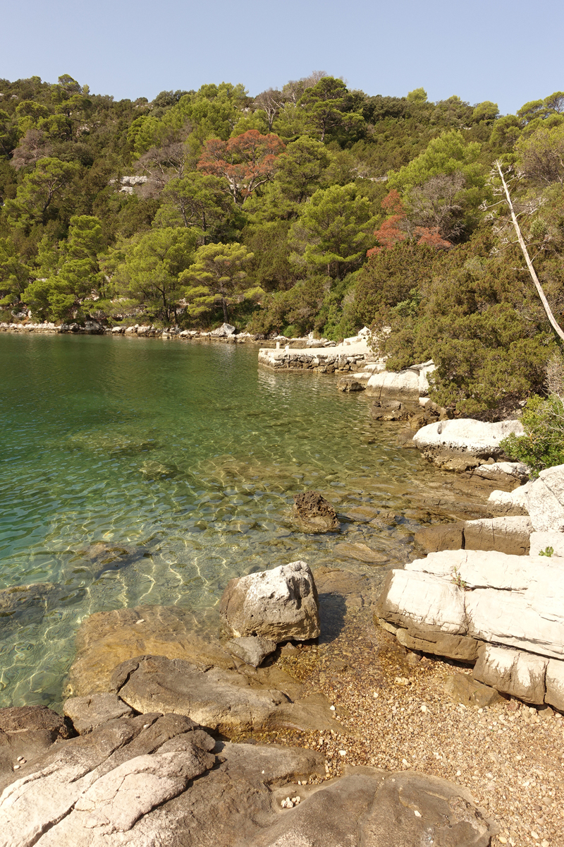 Mon voyage au Parc Naturel de l’île de Mljet en Croatie