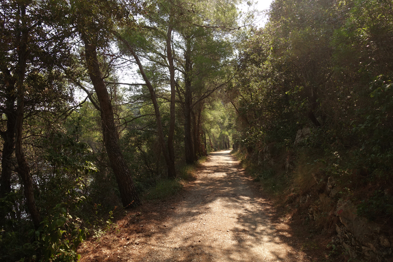 Mon voyage au Parc Naturel de l’île de Mljet en Croatie