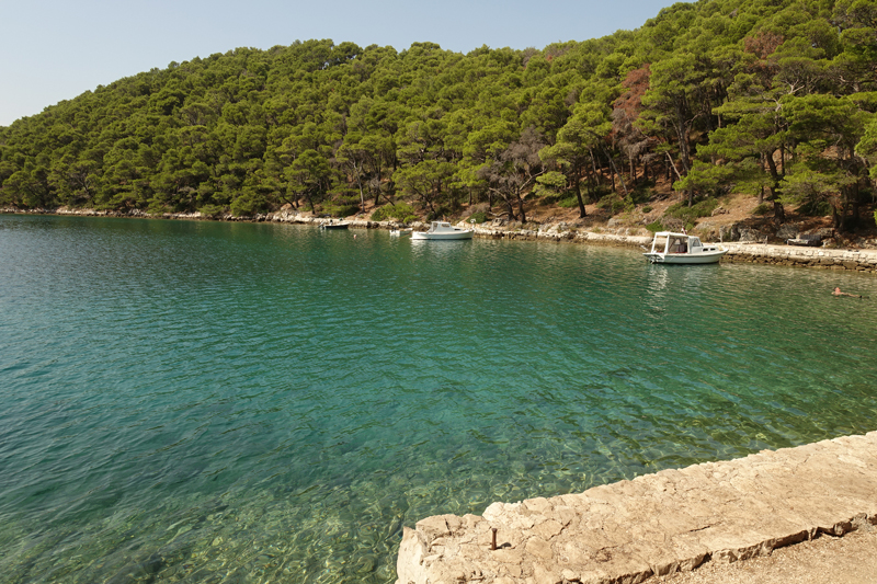 Mon voyage au Parc Naturel de l’île de Mljet en Croatie