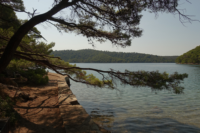 Mon voyage au Parc Naturel de l’île de Mljet en Croatie