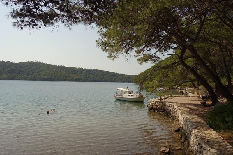 Mon voyage au Parc Naturel de l’île de Mljet en Croatie