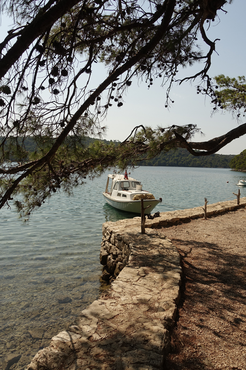 Mon voyage au Parc Naturel de l’île de Mljet en Croatie