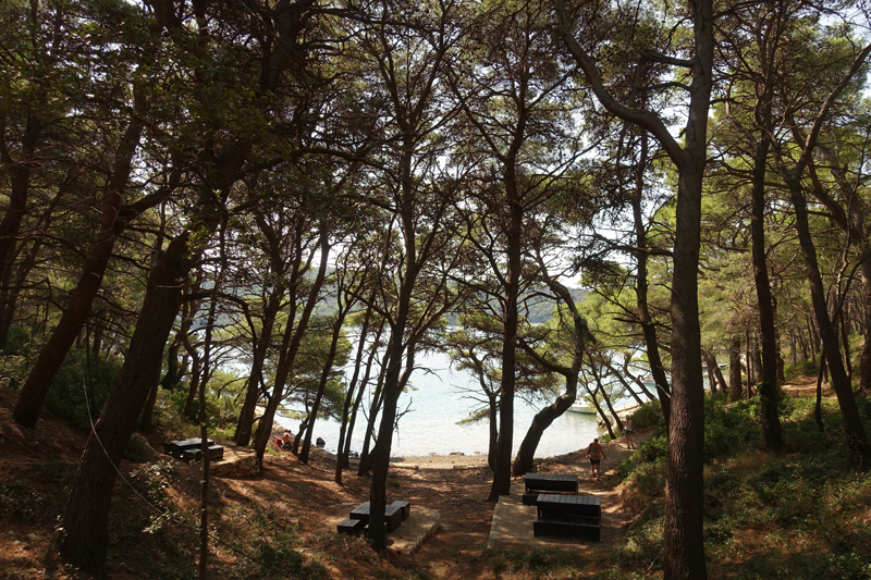 Mon voyage au Parc Naturel de l’île de Mljet en Croatie