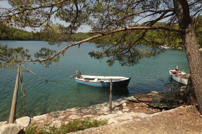 Mon voyage au Parc Naturel de l’île de Mljet en Croatie