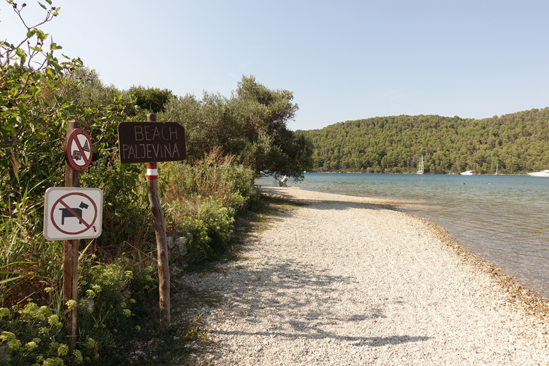 Mon voyage à Polace sur l’île de Mljet en Croatie