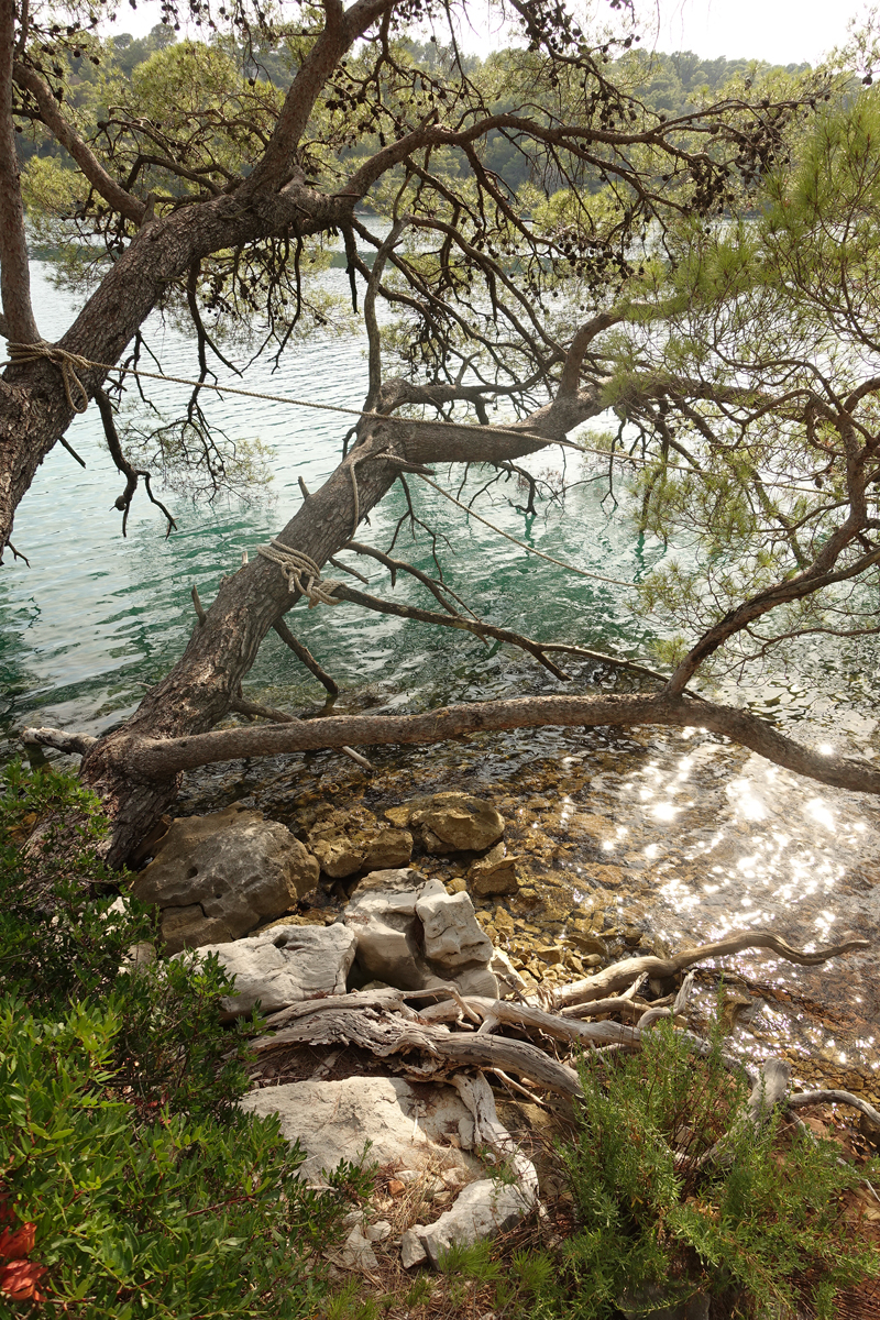 Mon voyage au Parc Naturel de l’île de Mljet en Croatie