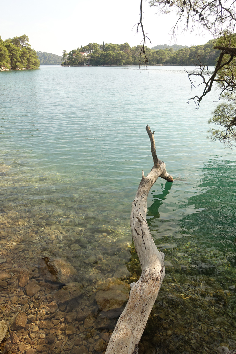 Mon voyage au Parc Naturel de l’île de Mljet en Croatie