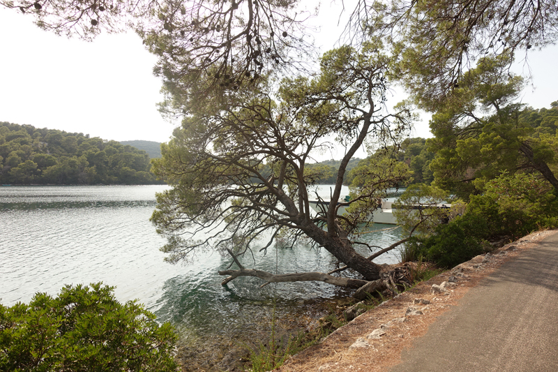 Mon voyage au Parc Naturel de l’île de Mljet en Croatie