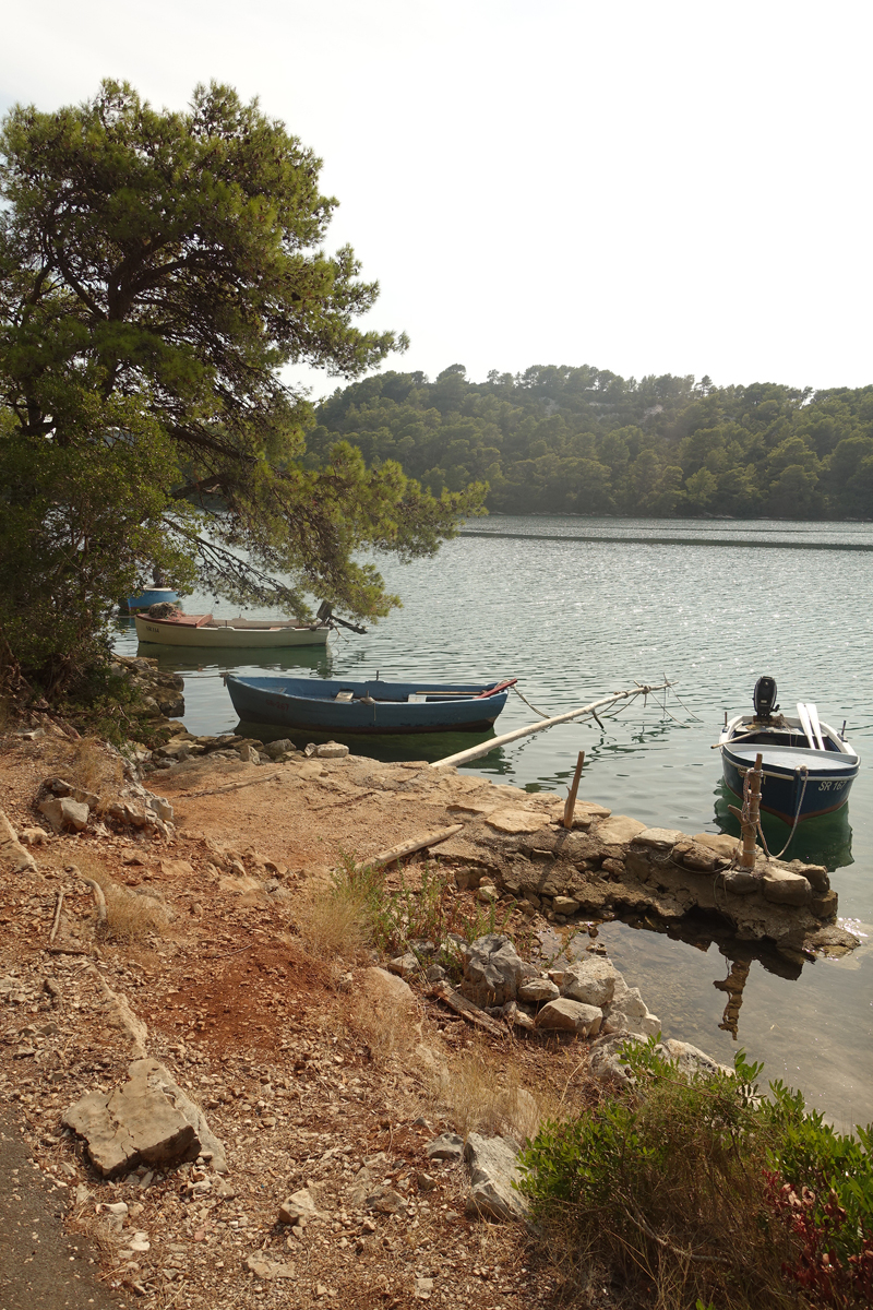 Mon voyage au Parc Naturel de l’île de Mljet en Croatie