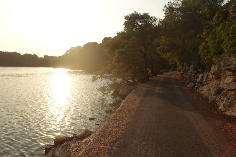 Mon voyage au Parc Naturel de l’île de Mljet en Croatie