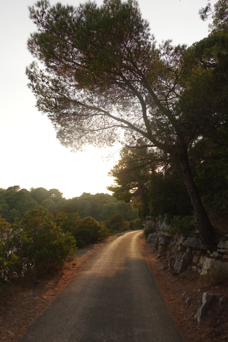 Mon voyage au Parc Naturel de l’île de Mljet en Croatie