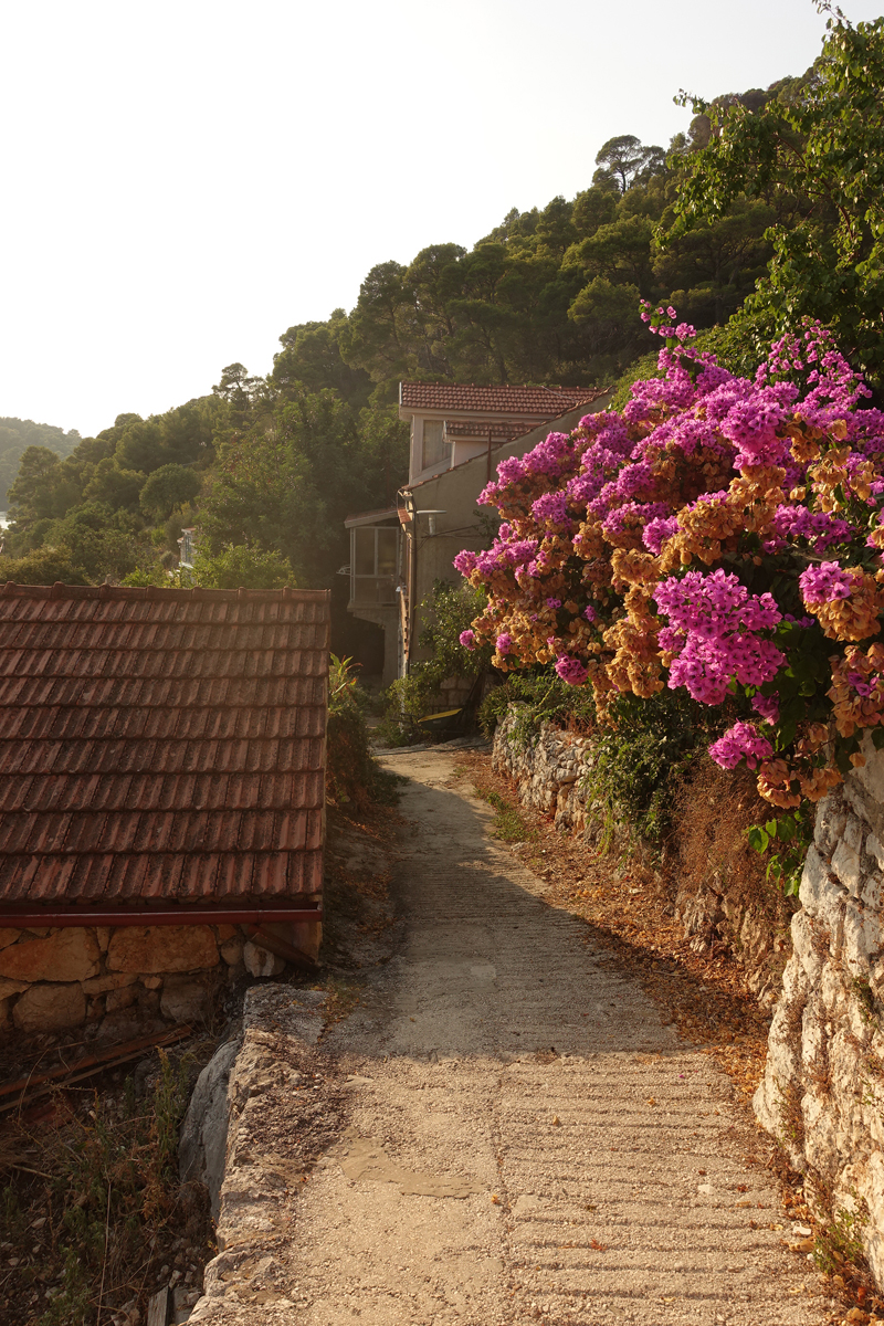 Mon voyage à Pristaniste sur l’île de Mljet en Croatie