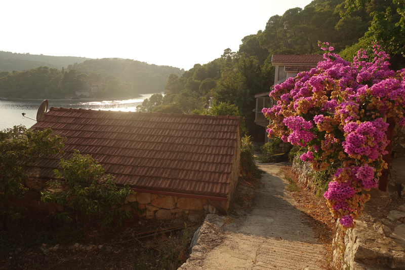 Mon voyage à Pristaniste sur l’île de Mljet en Croatie