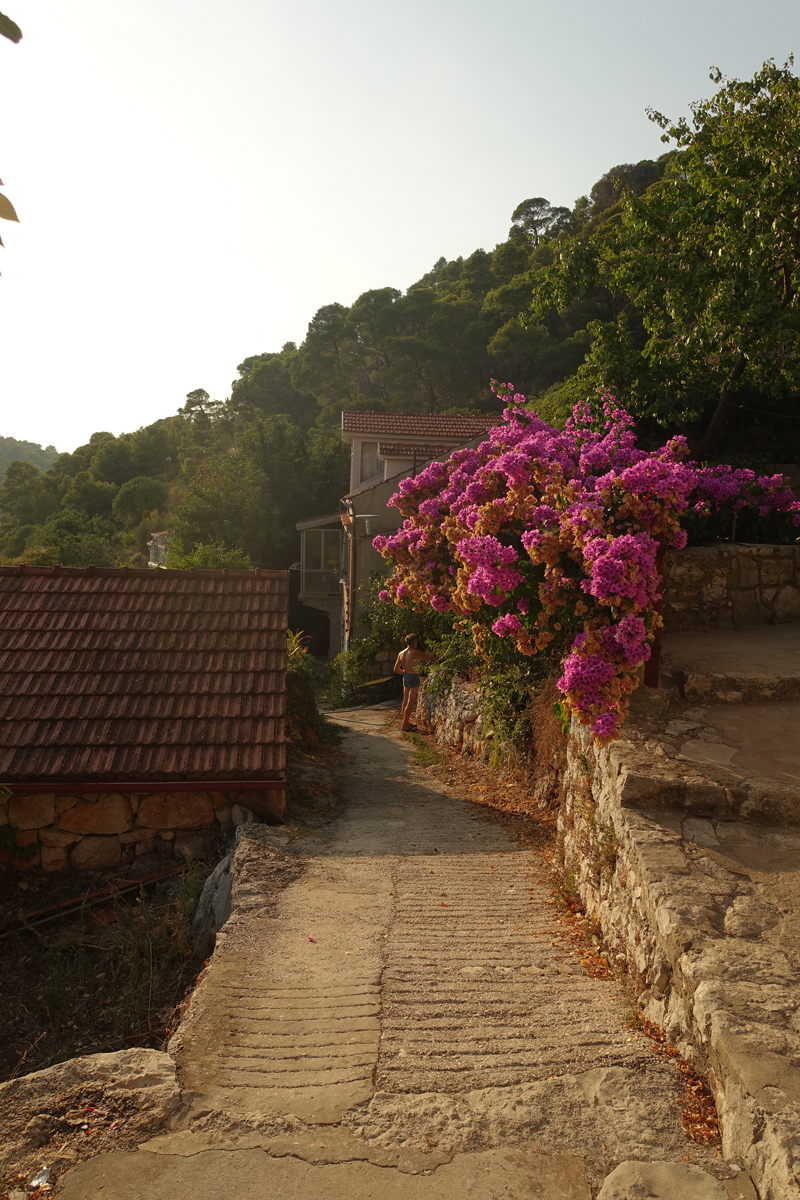 Mon voyage à Pristaniste sur l’île de Mljet en Croatie