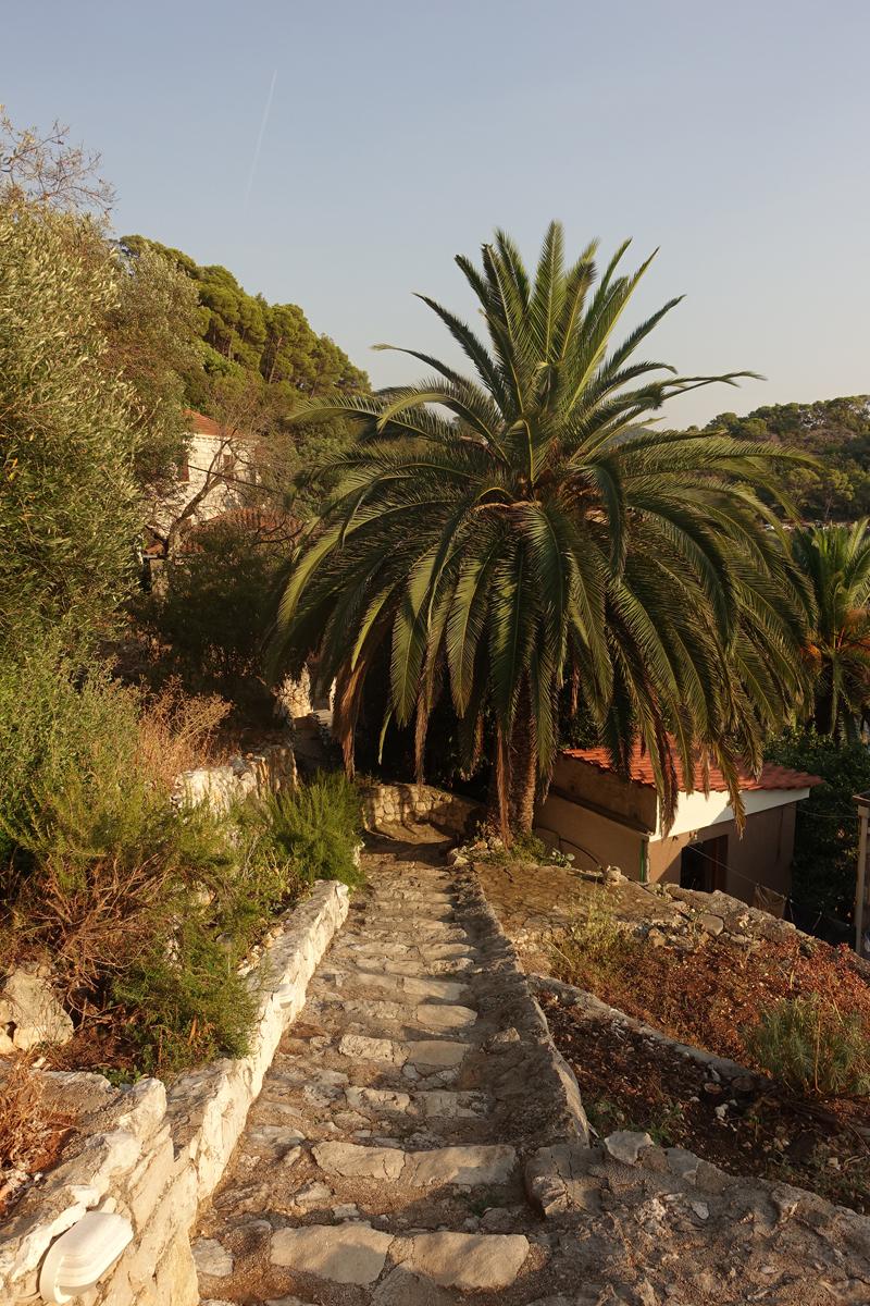 Mon voyage à Pristaniste sur l’île de Mljet en Croatie