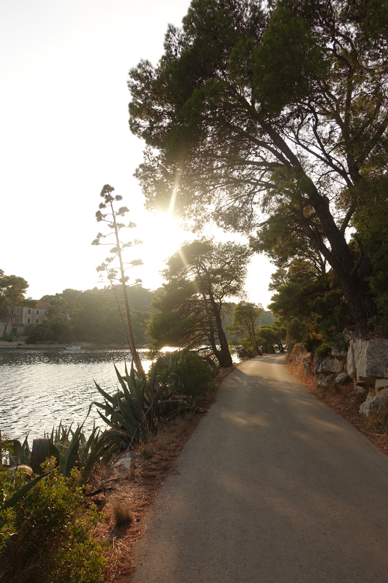 Mon voyage à Pristaniste sur l’île de Mljet en Croatie