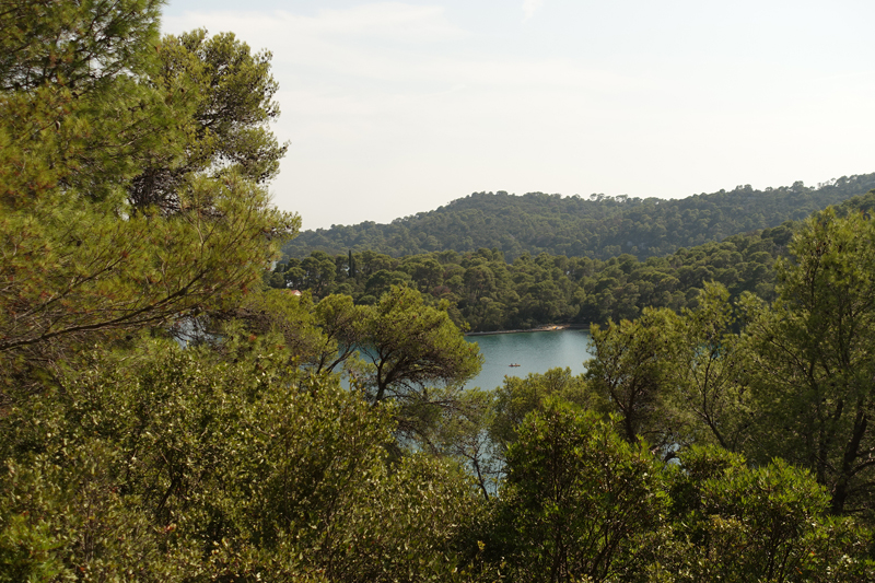 Mon voyage à Polace sur l’île de Mljet en Croatie