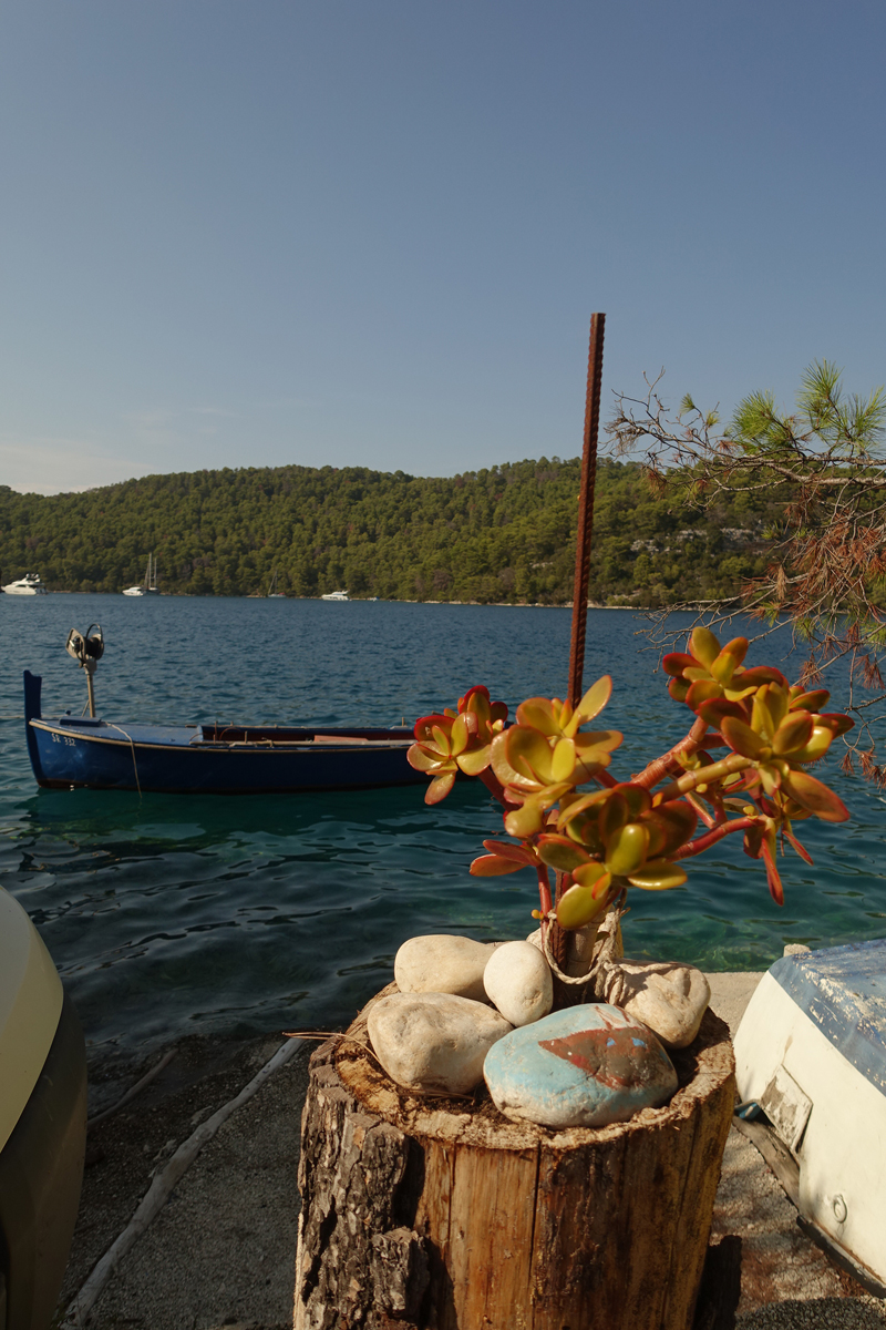 Mon voyage à Polace sur l’île de Mljet en Croatie