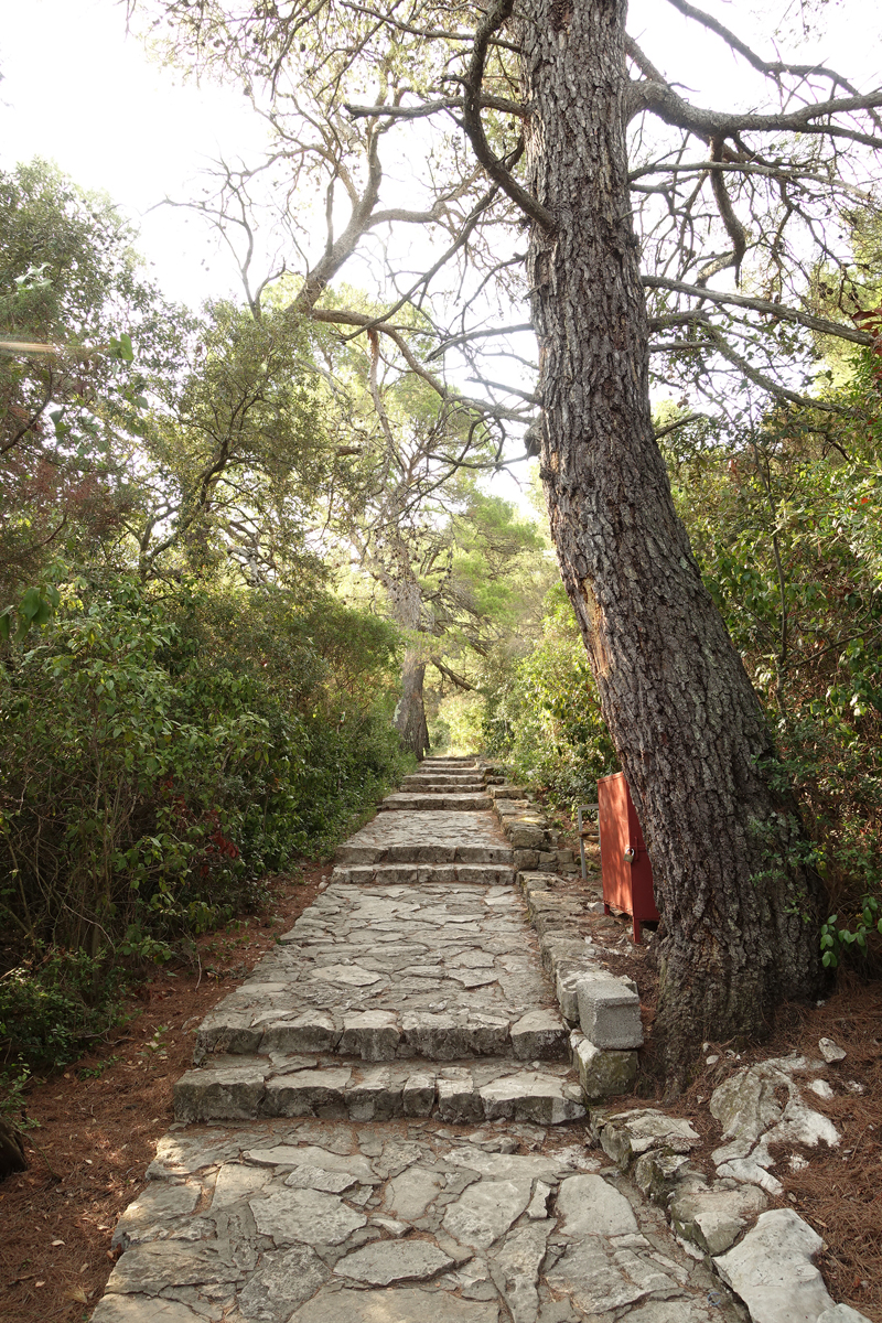 Mon voyage au Parc Naturel de l’île de Mljet en Croatie