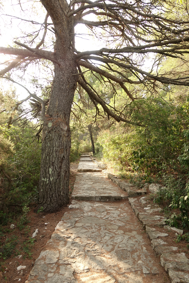 Mon voyage au Parc Naturel de l’île de Mljet en Croatie