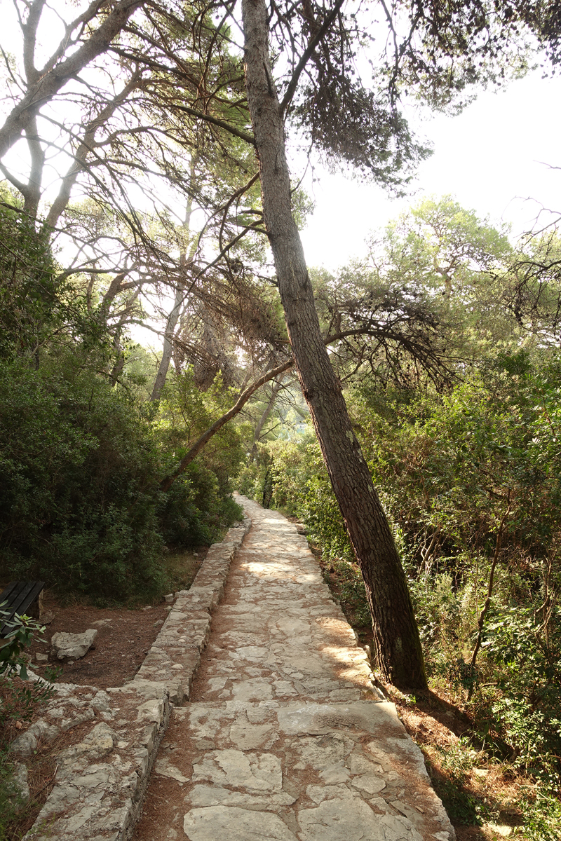 Mon voyage au Parc Naturel de l’île de Mljet en Croatie