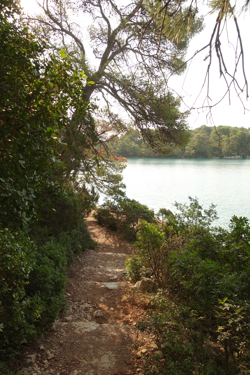 Mon voyage au Parc Naturel de l’île de Mljet en Croatie