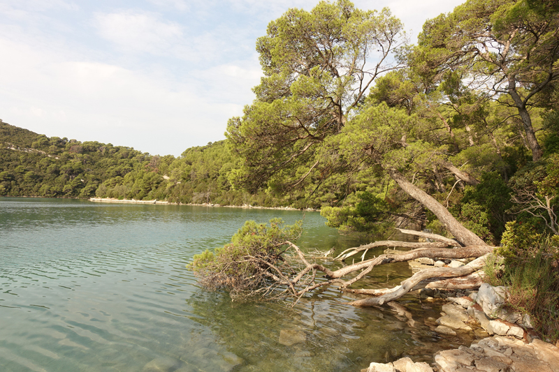 Mon voyage au Parc Naturel de l’île de Mljet en Croatie