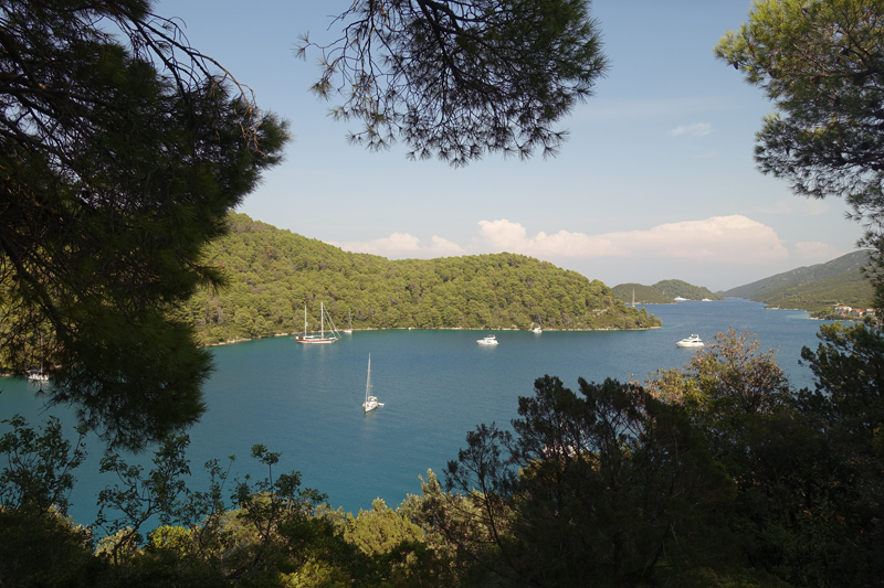 Mon voyage à Polace sur l’île de Mljet en Croatie