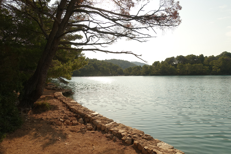 Mon voyage au Parc Naturel de l’île de Mljet en Croatie