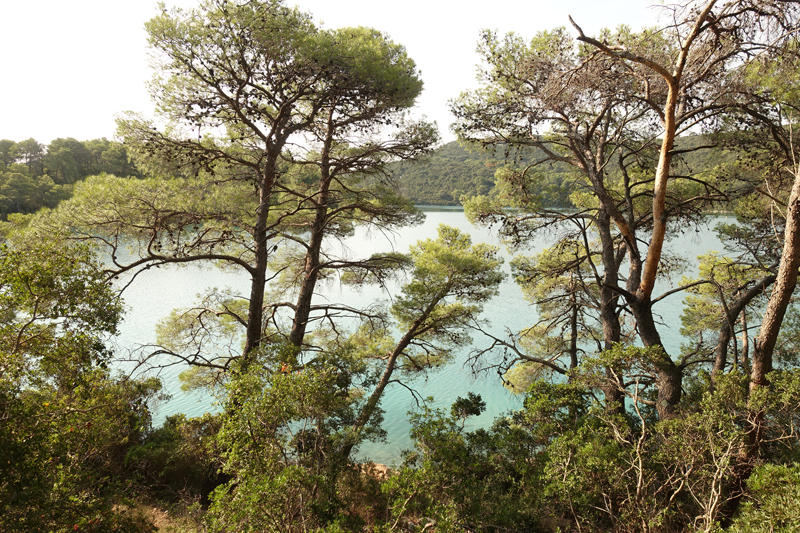 Mon voyage au Parc Naturel de l’île de Mljet en Croatie