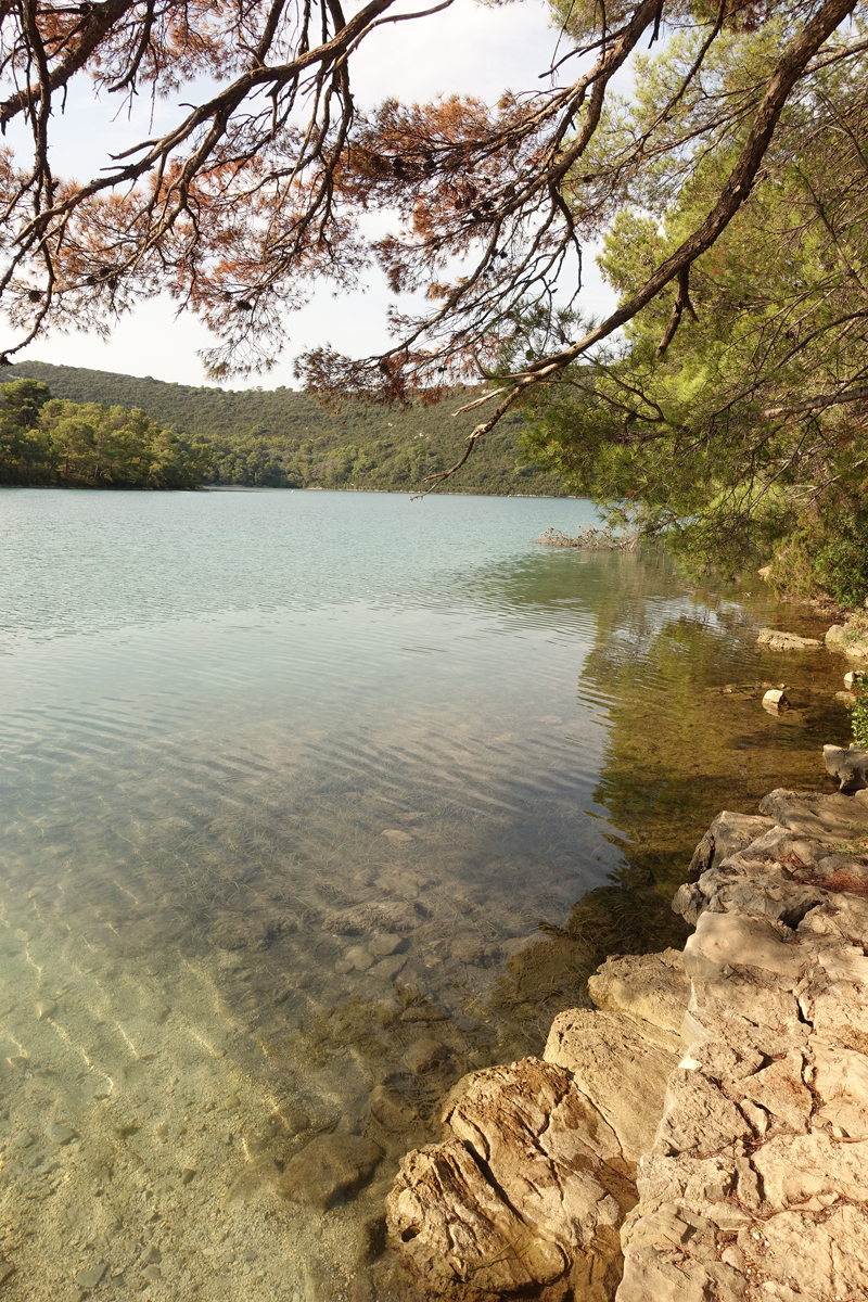 Mon voyage au Parc Naturel de l’île de Mljet en Croatie