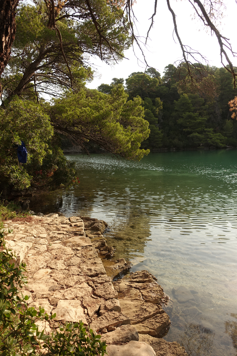 Mon voyage au Parc Naturel de l’île de Mljet en Croatie