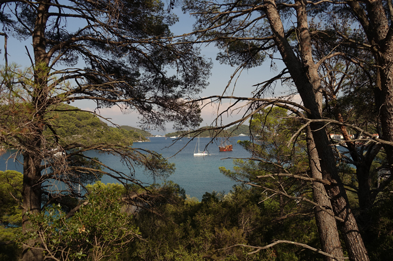 Mon voyage à Polace sur l’île de Mljet en Croatie