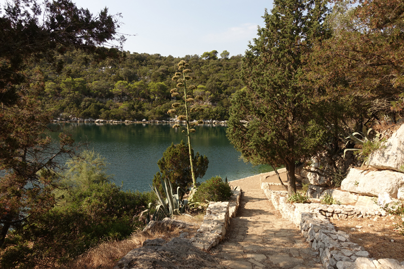 Mon voyage au Parc Naturel de l’île de Mljet en Croatie