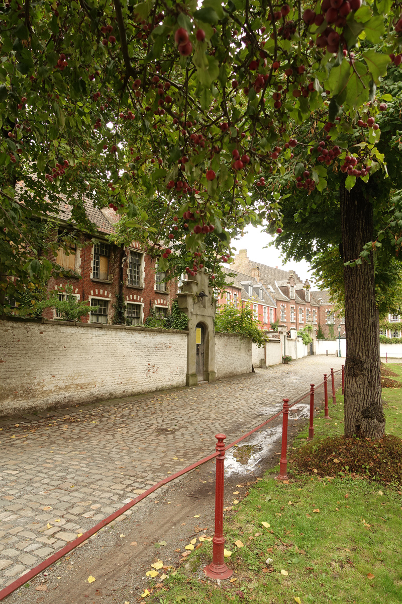 Mon voyage dans quartier Le petit Béguinage à Gand en Belgique