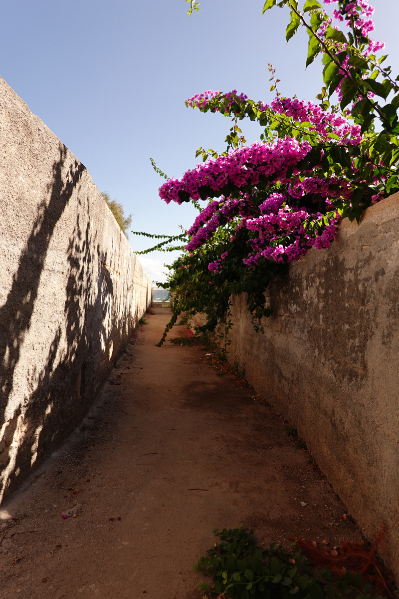 Mon voyage à San Vito dans les Pouilles en Italie