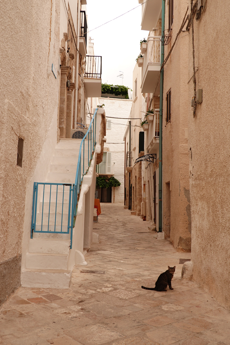 Mon voyage à Polignano a Mare dans les Pouilles en Italie