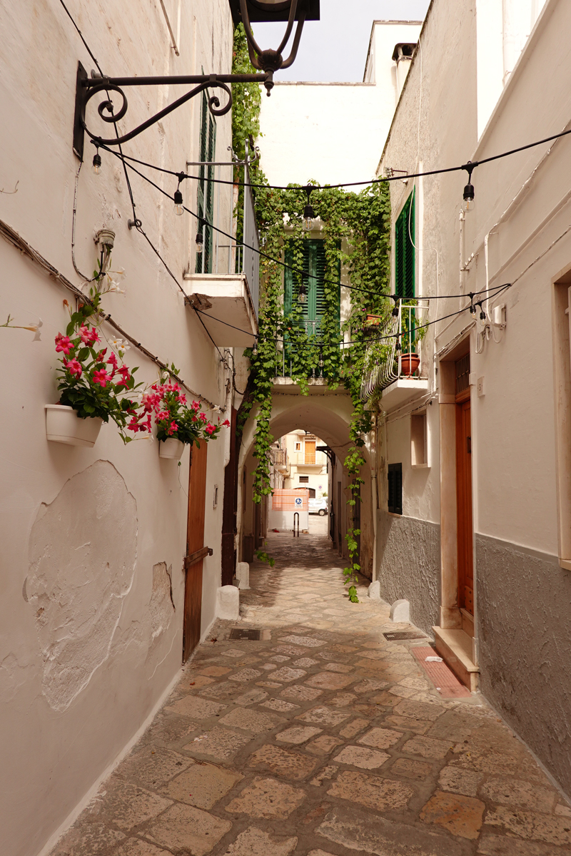 Mon voyage à Fasano dans les Pouilles en Italie