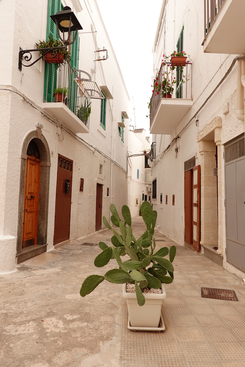 Mon voyage à Fasano dans les Pouilles en Italie